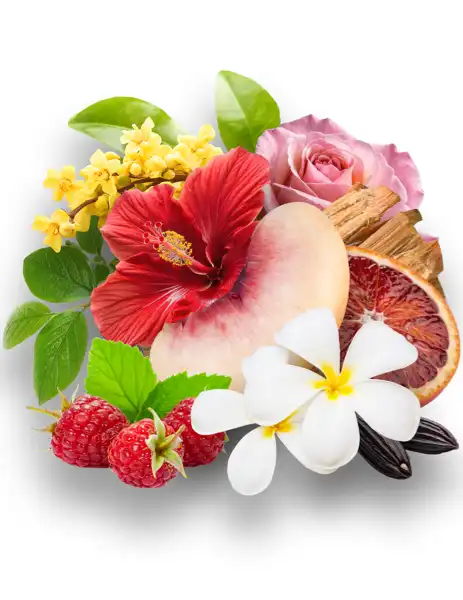 Peach Hibiscus CF + Hawaiian Sandalwood - Clean Fragrances